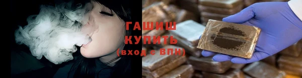 сатива Волоколамск