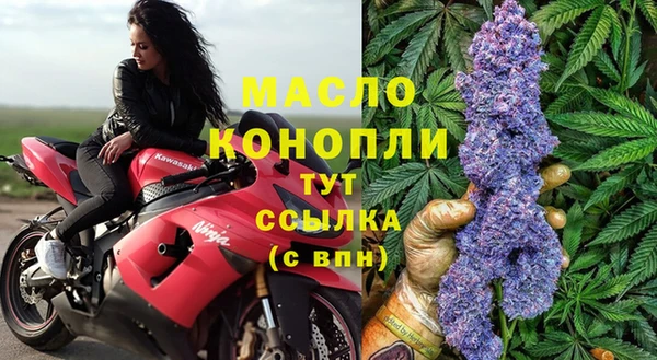 сатива Волоколамск