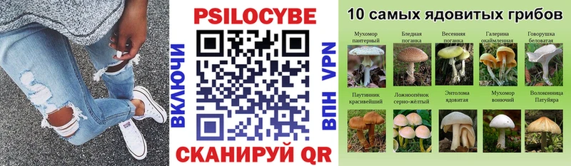 купить  цена  Нарткала  Галлюциногенные грибы Psilocybe 